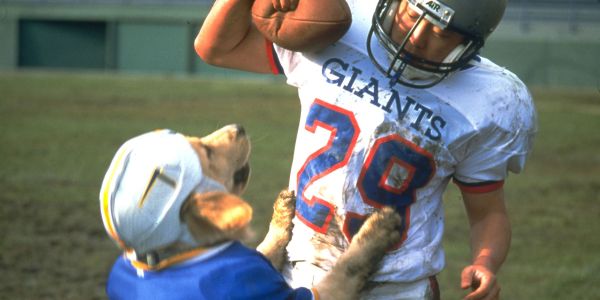 Air Bud: Golden Receiver on All...